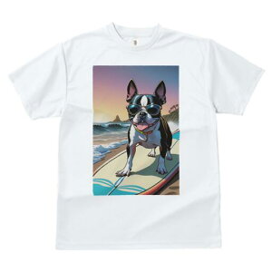 {XgeA TVc  j[NfUCfB[X t@  t vg lJWA 킢 lԗp Mtg I ҏ΍ TOX {XgeA T[tB C 