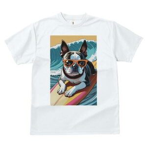 {XgeA TVc  j[NfUCfB[X t@  t vg lJWA 킢 lԗp Mtg I ҏ΍ g {XgeA T[t{[h TO