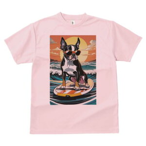 {XgeA TVc  j[NfUCY LbY t@  t vg lJWA 킢 lԗp Mtg I ҏ΍ T[tB {XgeA C g z