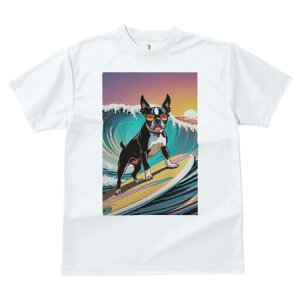 {XgeA TVc  j[NfUCfB[X t@  t vg lJWA 킢 lԗp Mtg I ҏ΍ g {XgeA T[tB TOX 