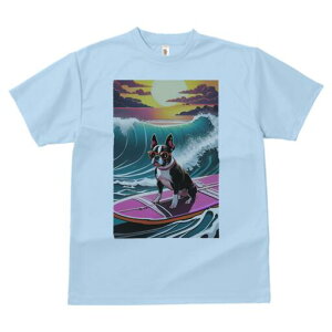 {XgeA TVc  j[NfUCfB[X t@  t vg lJWA 킢 lԗp Mtg I ҏ΍ g {XgeA C [Ă T[t{[h