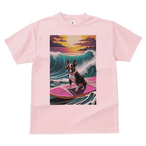 {XgeA TVc  j[NfUCfB[X t@  t vg lJWA 킢 lԗp Mtg I ҏ΍ g {XgeA C [Ă T[t{[h