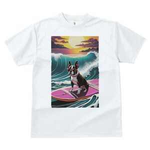 {XgeA TVc  j[NfUCfB[X t@  t vg lJWA 킢 lԗp Mtg I ҏ΍ g {XgeA C [Ă T[t{[h