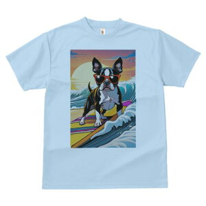 {XgeA TVc  j[NfUCfB[X t@  t vg lJWA 킢 lԗp Mtg I ҏ΍ TOX {XgeA T[tB g 