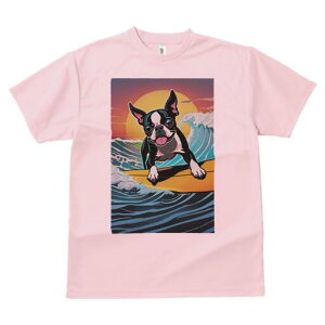 {XgeA TVc  j[NfUCfB[X t@  t vg lJWA 킢 lԗp Mtg I ҏ΍ g {XgeA T[tB C z