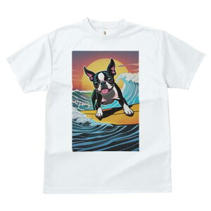 {XgeA TVc  j[NfUCfB[X t@  t vg lJWA 킢 lԗp Mtg I ҏ΍ g {XgeA T[tB C z