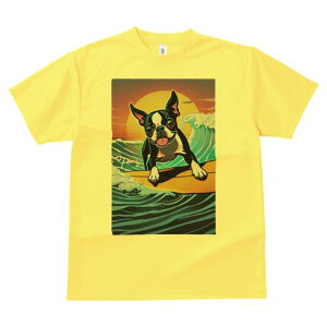 {XgeA TVc  j[NfUCfB[X t@  t vg lJWA 킢 lԗp Mtg I ҏ΍ g {XgeA T[tB C z