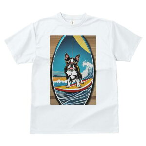 {XgeA TVc  j[NfUCfB[X t@  t vg lJWA 킢 lԗp Mtg I ҏ΍ T[tB {XgeA C g 