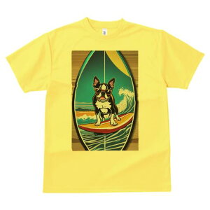 {XgeA TVc  j[NfUCfB[X t@  t vg lJWA 킢 lԗp Mtg I ҏ΍ T[tB {XgeA C g 