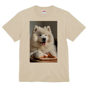 TGh TVc  j[NfUCfB[X t@  t vg lJWA 킢 lԗp Mtg I ҏ΍ p TGh