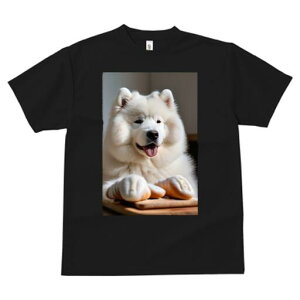 TGh TVc  j[NfUCfB[X t@  t vg lJWA 킢 lԗp Mtg I ҏ΍ p TGh