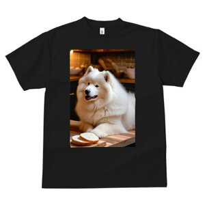 TGh TVc  j[NfUCfB[X t@  t vg lJWA 킢 lԗp Mtg I ҏ΍ p TGh Lb`