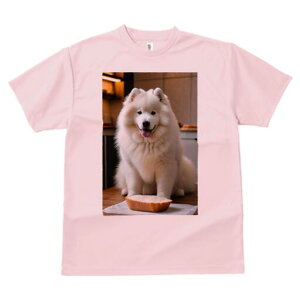 �T���G�h T�V���c ���� ���j�[�N�f�U�C�����f�B�[�X ���t�@�� ���� �t�� �v�����g ��l�J�W���A�� ���킢�� �l�ԗp �M�t�g ���I �ҏ��΍� �p�� �T���G�h