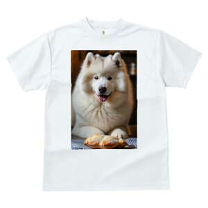 �T���G�h T�V���c ���� ���j�[�N�f�U�C�����f�B�[�X ���t�@�� ���� �t�� �v�����g ��l�J�W���A�� ���킢�� �l�ԗp �M�t�g ���I �ҏ��΍� �p�� �T���G�h