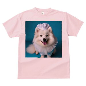 {Xsbc TVc  j[NfUCfB[X t@  t vg lJWA 킢 lԗp Mtg I ҏ΍ Xq {Xsbc t