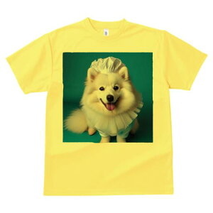 {Xsbc TVc  j[NfUCfB[X t@  t vg lJWA 킢 lԗp Mtg I ҏ΍ Xq {Xsbc t