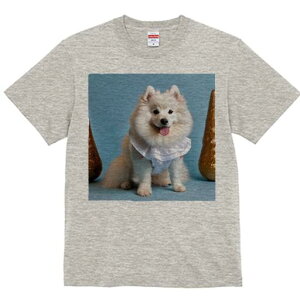 JapaneseSpitz TVc  j[NfUCfB[X t@  t vg lJWA 킢 lԗp Mtg I ҏ΍ wi JapaneseSpitz 킢  Cxg