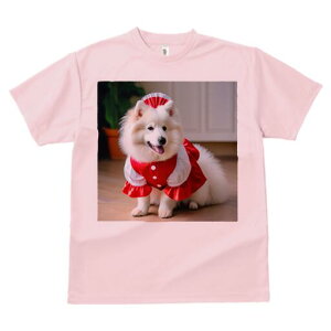 TGh TVc  j[NfUCfB[X t@  t vg lJWA 킢 lԗp Mtg I ҏ΍ Ch TGh Xq