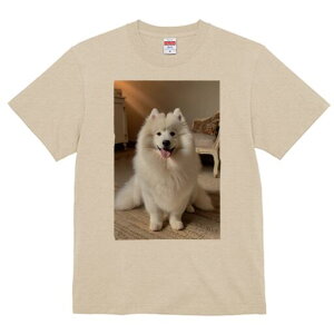 TGh TVc  j[NfUCfB[X t@  t vg lJWA 킢 lԗp Mtg I ҏ΍  TGh J[ybg ֎q Ƌ