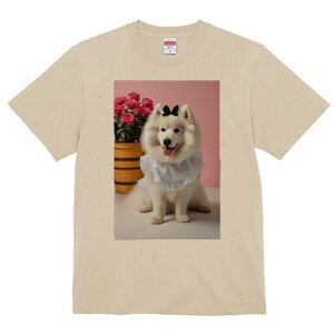 TGh TVc  j[NfUCfB[X t@  t vg lJWA 킢 lԗp Mtg I ҏ΍ o TGh ԑ {