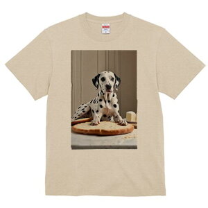 _VA TVc  j[NfUCfB[X t@  t vg lJWA 킢 lԗp Mtg I ҏ΍ p _VA `[Y