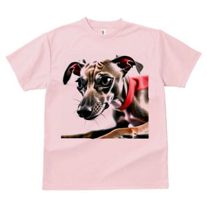 C^AO[nEh TVc  j[NfUCfB[X t@  t vg lJWA 킢 lԗp Mtg I ҏ΍  C^AO[nEh