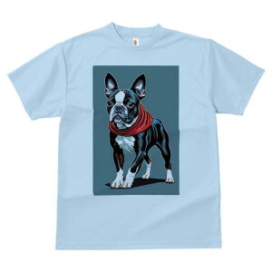 {XgeA TVc  j[NfUCfB[X t@  t vg lJWA 킢 lԗp Mtg I ҏ΍ XJ[t {XgeA