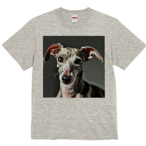 C^AO[nEh TVc  j[NfUCfB[X t@  t vg lJWA 킢 lԗp Mtg I ҏ΍ C^AO[nEh