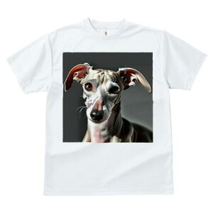 C^AO[nEh TVc  j[NfUCfB[X t@  t vg lJWA 킢 lԗp Mtg I ҏ΍ C^AO[nEh