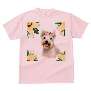 EGXgnChzCgeA TVc  j[NfUCfB[X t@  t vg lJWA 킢 lԗp Mtg I ҏ΍  EGXgnCh