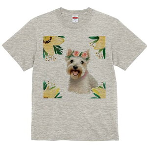 EGXgnChzCgeA TVc  j[NfUCfB[X t@  t vg lJWA 킢 lԗp Mtg I ҏ΍  EGXgnCh