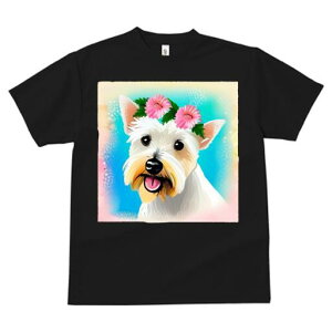 EGXgnChzCgeA TVc  j[NfUCfB[X t@  t vg lJWA 킢 lԗp Mtg I ҏ΍  EGXgnCh