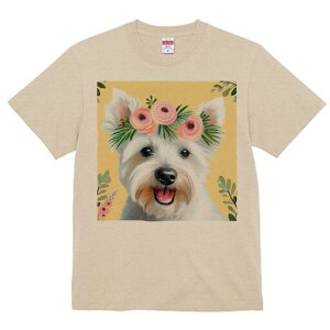 EGXgnChzCgeA TVc  j[NfUCfB[X t@  t vg lJWA 킢 lԗp Mtg I ҏ΍  EGXgnCh