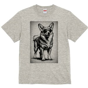 R[M[ TVc  j[NfUCfB[X t@  t vg lJWA 킢 lԗp Mtg I ҏ΍ TOX R[M[