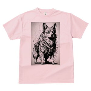 R[M[ TVc  j[NfUCfB[X t@  t vg lJWA 킢 lԗp Mtg I ҏ΍ n[lX R[M[ mN