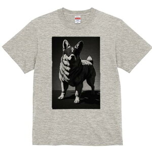 Hc TVc  j[NfUCfB[X t@  t vg lJWA 킢 lԗp Mtg I ҏ΍ TOX Hc n[lX