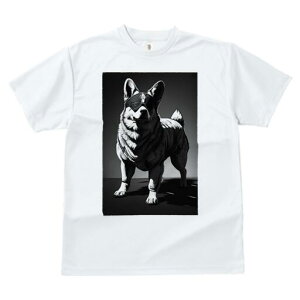 Hc TVc  j[NfUCfB[X t@  t vg lJWA 킢 lԗp Mtg I ҏ΍ TOX Hc n[lX