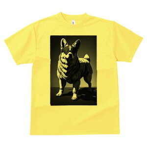 Hc TVc  j[NfUCfB[X t@  t vg lJWA 킢 lԗp Mtg I ҏ΍ TOX Hc n[lX