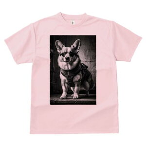 R[M[ TVc  j[NfUCfB[X t@  t vg lJWA 킢 lԗp Mtg I ҏ΍ TOX R[M[ n[lX