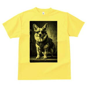 R[M[ TVc  j[NfUCfB[X t@  t vg lJWA 킢 lԗp Mtg I ҏ΍ TOX R[M[ n[lX