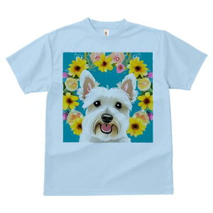 EGXgnChzCgeA TVc  j[NfUCfB[X t@  t vg lJWA 킢 lԗp Mtg I ҏ΍  EGXgnCh