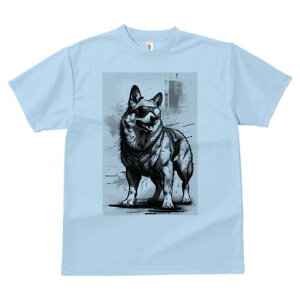 W[}VFp[h TVc  j[NfUCfB[X t@  t vg lJWA 킢 lԗp Mtg I ҏ΍ TOX W[}VFp[h 