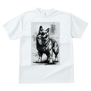 W[}VFp[h TVc  j[NfUCfB[X t@  t vg lJWA 킢 lԗp Mtg I ҏ΍ TOX W[}VFp[h 