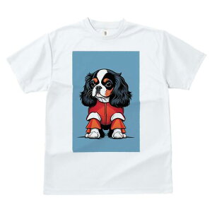 LoA TVc  j[NfUCfB[X t@  t vg lJWA 킢 lԗp Mtg I ҏ΍ TVc LoA 