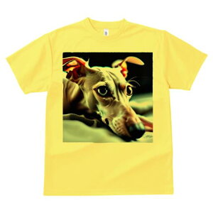 C^AO[nEh TVc  j[NfUCfB[X t@  t vg lJWA 킢 lԗp Mtg I ҏ΍ C^AO[nEh