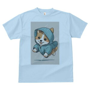 R[M[ TVc  j[NfUCfB[X t@  t vg lJWA 킢 lԗp Mtg I ҏ΍ CR[g R[M[ t[h