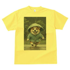 R[M[ TVc  j[NfUCfB[X t@  t vg lJWA 킢 lԗp Mtg I ҏ΍ J R[M[ P CR[g