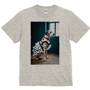 _VA TVc  j[NfUCfB[X t@  t vg lJWA 킢 lԗp Mtg I ҏ΍ s[X _VA ʖ͗l