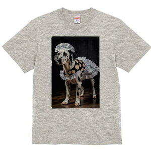 _VA TVc  j[NfUCfB[X t@  t vg lJWA 킢 lԗp Mtg I ҏ΍ Ch _VA t