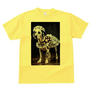 _VA TVc  j[NfUCfB[X t@  t vg lJWA 킢 lԗp Mtg I ҏ΍ Ch _VA t